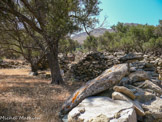 <center>Tinos.</center>29/06/2008. Vers Kyrá Xéni.