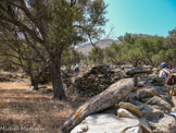 <center>Tinos.</center>29/06/2008. Vers Kyrá Xéni.