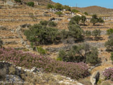 <center>Tinos.</center>29/06/2008. Le monastère de Kyrá Xéni.