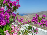 <center>Tinos.</center>29/06/2008. Agia Thekla. Panormos.