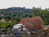 <center>Sifnos.</center>16/06/2008. Apollonia.