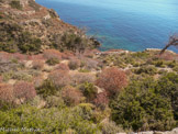 <center>Sifnos.</center>16/06/2008.