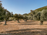 <center>Sifnos.</center>19/06/2008.