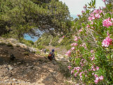 <center>Sifnos.</center>19/06/2008. La descente vers la petite plage de Vlási.