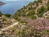 <center>Sifnos.</center>19/06/2008. La descente vers la petite plage de Vlási.