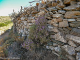 <center>Sifnos.</center>21/06/2008.