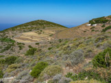 <center>Sifnos.</center>21/06/2008.