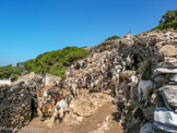 <center>Sifnos.</center>21/06/2008.