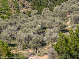 <center>Sifnos.</center>21/06/2008. St. Ioannis