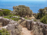 <center>Sifnos.</center>21/06/2008.