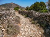 <center>Sifnos.</center>21/06/2008.