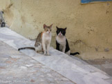 <center>Syros.</center>23/06/2008. Ermoupolis.