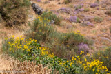 <center>Tinos.</center>27/06/2008.