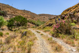 <center>Tinos.</center>27/06/2008.