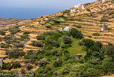 <center>Tinos.</center>28/06/2008.