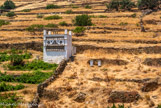 <center>Tinos.</center>28/06/2008.