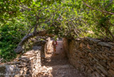 <center>Tinos.</center>29/06/2008.