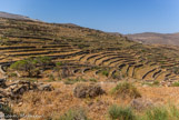 <center>Tinos.</center>29/06/2008.