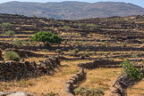 <center>Tinos.</center>29/06/2008.