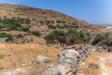 <center>Tinos.</center>29/06/2008.