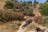 <center>Tinos.</center>29/06/2008. Le beau pont au pied du monastère de Kyrá Xéni.