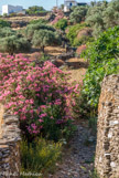 <center>Sifnos.</center>16/06/2008. Apollonia.