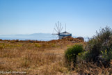 <center>Sifnos.</center>16/06/2008.