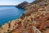 <center>Sifnos.</center>16/06/2008.