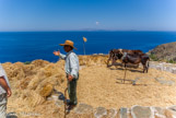 <center>Sifnos.</center>16/06/2008.