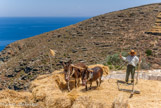 <center>Sifnos.</center>16/06/2008.