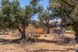 <center>Sifnos.</center>17/06/2008.