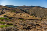 <center>Sifnos.</center>18/06/2008. Sur les pentes de l' Agios Silvéstros.