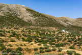 <center>Sifnos.</center>19/06/2008.