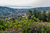 <center>Sifnos.</center>19/06/2008.