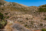 <center>Sifnos.</center>19/06/2008.