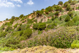 <center>Sifnos.</center>19/06/2008. La descente vers la petite plage de Vlási.