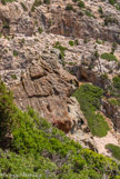 <center>Sifnos.</center>19/06/2008.