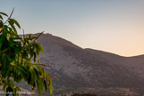 <center>Sifnos.</center>20/06/2008.