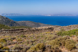 <center>Sifnos.</center>21/06/2008.