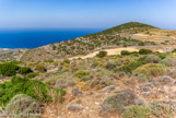 <center>Sifnos.</center>21/06/2008.