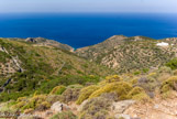 <center>Sifnos.</center>21/06/2008.