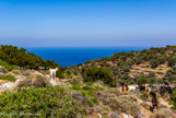 <center>Sifnos.</center>21/06/2008. St. Ioannis