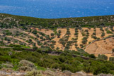 <center>Sifnos.</center>21/06/2008.