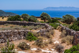 <center>Sifnos.</center>21/06/2008.