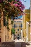 <center>Syros</center>23/06/2008. Ermoupolis.