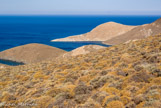 <center>Syros</center>24/06/2008.