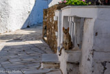 <center>Tinos.</center>26/06/2008. Tarampados.