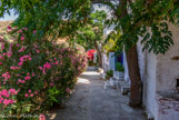 <center>Tinos.</center>27/06/2008. Agapi.