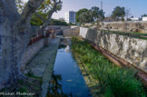 Tholon. <br>Le lavoir. Des c iternes, qui sont des réservoirs de captage, l'eau s'écoule vers l'étang à travers un long bassin utilisé comme lavoir.