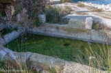 Tholon. <br>La fontaine de l'Arc. Plus au nord, subsistent les vestiges d'une seconde source aménagée de manière plus modeste, la fontaine de l'Arc. Installée en bordure même de l'étang, elle se compose également de deux réservoirs voûtés dans lesquels plusieurs ouvertures permettaient le puisage de l'eau.